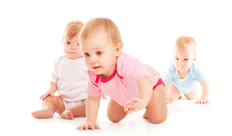 WordPress Hosting Starter